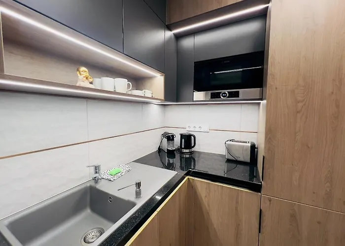 Karzo Lk 210 Free Garage Apartment *